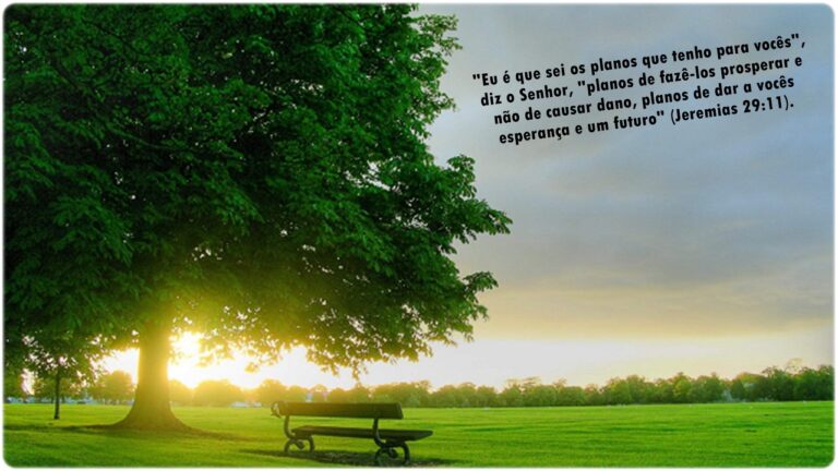 Acreditar na Prosperidade Deus Você Também Pode Enriquecer Jeremias 29.11